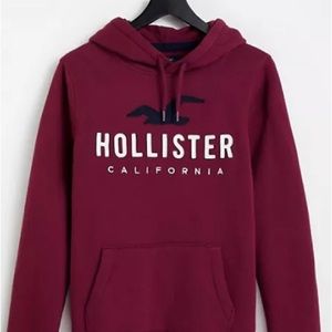 holister hoodie small